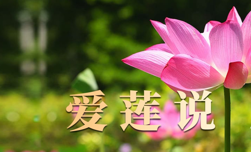 成功簽定 湖南zdy酒有限公司 網(wǎng)站改版升級網(wǎng)站優(yōu)化自媒體及小視頻合同